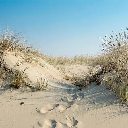 Baltic Island Gdansk