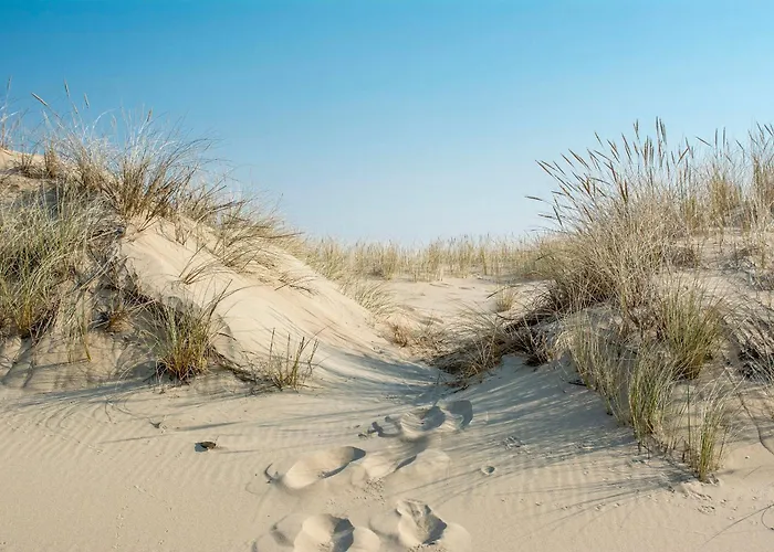 Baltic Island גדנסק